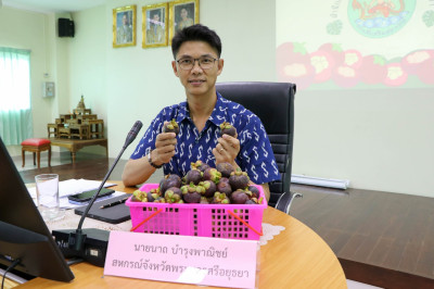 สหกรณ์จังหวัดขอเชิญชวนร่วมอุดหนุนมังคุดของสมาชิกเกษตรกรจากสหกรณ์การเกษตรในจังหวัดภาคใต้ ... พารามิเตอร์รูปภาพ 1